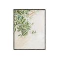Picture of Few Olive Tree Leaves _GroupedProduct_Rectangle_Portrait_Photography _GroupedProduct_Rectangle_Portrait_Canvas_Framed_