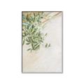 Picture of Few Olive Tree Leaves _GroupedProduct_Rectangle_Portrait_Photography _GroupedProduct_Rectangle_Portrait_Canvas_Framed_
