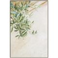 Picture of Few Olive Tree Leaves _GroupedProduct_Rectangle_Portrait_Photography _GroupedProduct_Rectangle_Portrait_Canvas_Framed_