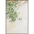 Picture of Few Olive Tree Leaves _GroupedProduct_Rectangle_Portrait_Photography _GroupedProduct_Rectangle_Portrait_Canvas_Framed_
