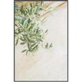 Picture of Few Olive Tree Leaves _GroupedProduct_Rectangle_Portrait_Photography _GroupedProduct_Rectangle_Portrait_Canvas_Framed_