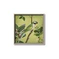 Picture of Vintage Tropical Birds I _GroupedProduct_Square_Canvas_Framed_