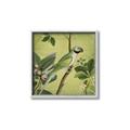 Picture of Vintage Tropical Birds I _GroupedProduct_Square_Canvas_Framed_