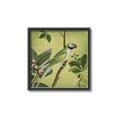 Picture of Vintage Tropical Birds I _GroupedProduct_Square_Canvas_Framed_
