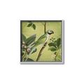 Picture of Vintage Tropical Birds I _GroupedProduct_Square_Canvas_Framed_