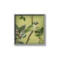 Picture of Vintage Tropical Birds I _GroupedProduct_Square_Canvas_Framed_
