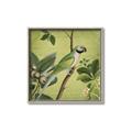 Picture of Vintage Tropical Birds I _GroupedProduct_Square_Canvas_Framed_