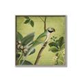 Picture of Vintage Tropical Birds I _GroupedProduct_Square_Canvas_Framed_