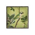 Picture of Vintage Tropical Birds I _GroupedProduct_Square_Canvas_Framed_