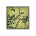 Picture of Vintage Tropical Birds I _GroupedProduct_Square_Canvas_Framed_