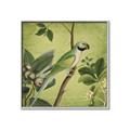 Picture of Vintage Tropical Birds I _GroupedProduct_Square_Canvas_Framed_