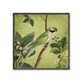 Picture of Vintage Tropical Birds I _GroupedProduct_Square_Canvas_Framed_