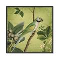 Picture of Vintage Tropical Birds I _GroupedProduct_Square_Canvas_Framed_