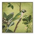 Picture of Vintage Tropical Birds I _GroupedProduct_Square_Canvas_Framed_