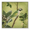 Picture of Vintage Tropical Birds I _GroupedProduct_Square_Canvas_Framed_