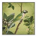 Picture of Vintage Tropical Birds I _GroupedProduct_Square_Canvas_Framed_