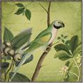 Picture of Vintage Tropical Birds I _GroupedProduct_Square_Canvas_Framed_