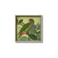Picture of Vintage Tropical Birds II _GroupedProduct_Square_Canvas_Framed_