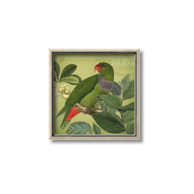 Picture of Vintage Tropical Birds II _GroupedProduct_Square_Canvas_Framed_
