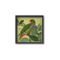 Picture of Vintage Tropical Birds II _GroupedProduct_Square_Canvas_Framed_
