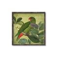 Picture of Vintage Tropical Birds II _GroupedProduct_Square_Canvas_Framed_