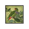 Picture of Vintage Tropical Birds II _GroupedProduct_Square_Canvas_Framed_