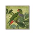 Picture of Vintage Tropical Birds II _GroupedProduct_Square_Canvas_Framed_