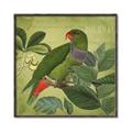 Picture of Vintage Tropical Birds II _GroupedProduct_Square_Canvas_Framed_
