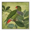 Picture of Vintage Tropical Birds II _GroupedProduct_Square_Canvas_Framed_