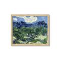 Picture of Vincent Van Gogh's Olive Trees With the Alpilles (1889) _GroupedProduct_Rectangle_Landscape_Framed_Matted_