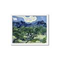 Picture of Vincent Van Gogh's Olive Trees With the Alpilles (1889) _GroupedProduct_Rectangle_Landscape_Framed_Matted_