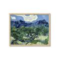 Picture of Vincent Van Gogh's Olive Trees With the Alpilles (1889) _GroupedProduct_Rectangle_Landscape_Framed_Matted_