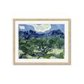 Picture of Vincent Van Gogh's Olive Trees With the Alpilles (1889) _GroupedProduct_Rectangle_Landscape_Framed_Matted_