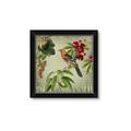 Picture of Tangerine Vintage Bird _GroupedProduct_Square_Framed_Matted_