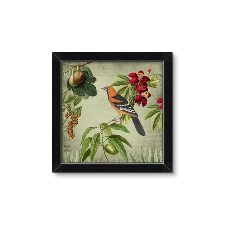 Picture of Tangerine Vintage Bird _GroupedProduct_Square_Framed_Matted_
