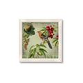 Picture of Tangerine Vintage Bird _GroupedProduct_Square_Framed_Matted_