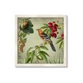 Picture of Tangerine Vintage Bird _GroupedProduct_Square_Framed_Matted_