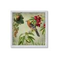 Picture of Tangerine Vintage Bird _GroupedProduct_Square_Framed_Matted_