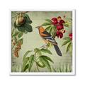 Picture of Tangerine Vintage Bird _GroupedProduct_Square_Framed_Matted_