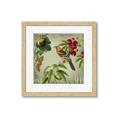 Picture of Tangerine Vintage Bird _GroupedProduct_Square_Framed_Matted_