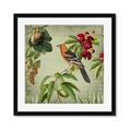 Picture of Tangerine Vintage Bird _GroupedProduct_Square_Framed_Matted_