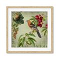 Picture of Tangerine Vintage Bird _GroupedProduct_Square_Framed_Matted_