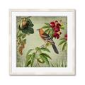 Picture of Tangerine Vintage Bird _GroupedProduct_Square_Framed_Matted_