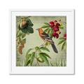 Picture of Tangerine Vintage Bird _GroupedProduct_Square_Framed_Matted_