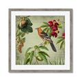 Picture of Tangerine Vintage Bird _GroupedProduct_Square_Framed_Matted_