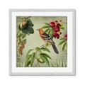 Picture of Tangerine Vintage Bird _GroupedProduct_Square_Framed_Matted_
