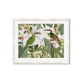 Picture of Green Nostalgic Tropical Birds _GroupedProduct_Rectangle_Landscape_Framed_Matted_