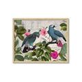 Picture of Blue Nostalgic Tropical Parrot Birds _GroupedProduct_Rectangle_Landscape_Framed_Matted_