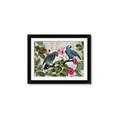 Picture of Blue Nostalgic Tropical Parrot Birds _GroupedProduct_Rectangle_Landscape_Framed_Matted_