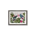 Picture of Blue Nostalgic Tropical Parrot Birds _GroupedProduct_Rectangle_Landscape_Framed_Matted_